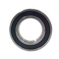 CSAPÁGY 6007 2RS