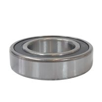 CSAPÁGY 6007 2RS