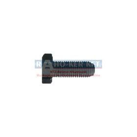 MTZ CSAVAR M12X1,5X30  10.9